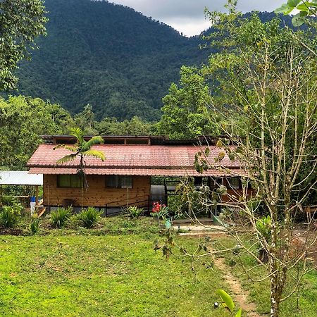 Sendero De Las Aves Aparthotel Mindo Exterior foto