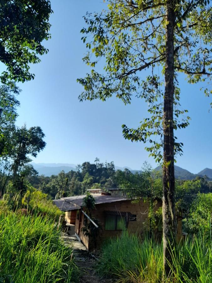 Sendero De Las Aves Aparthotel Mindo Exterior foto