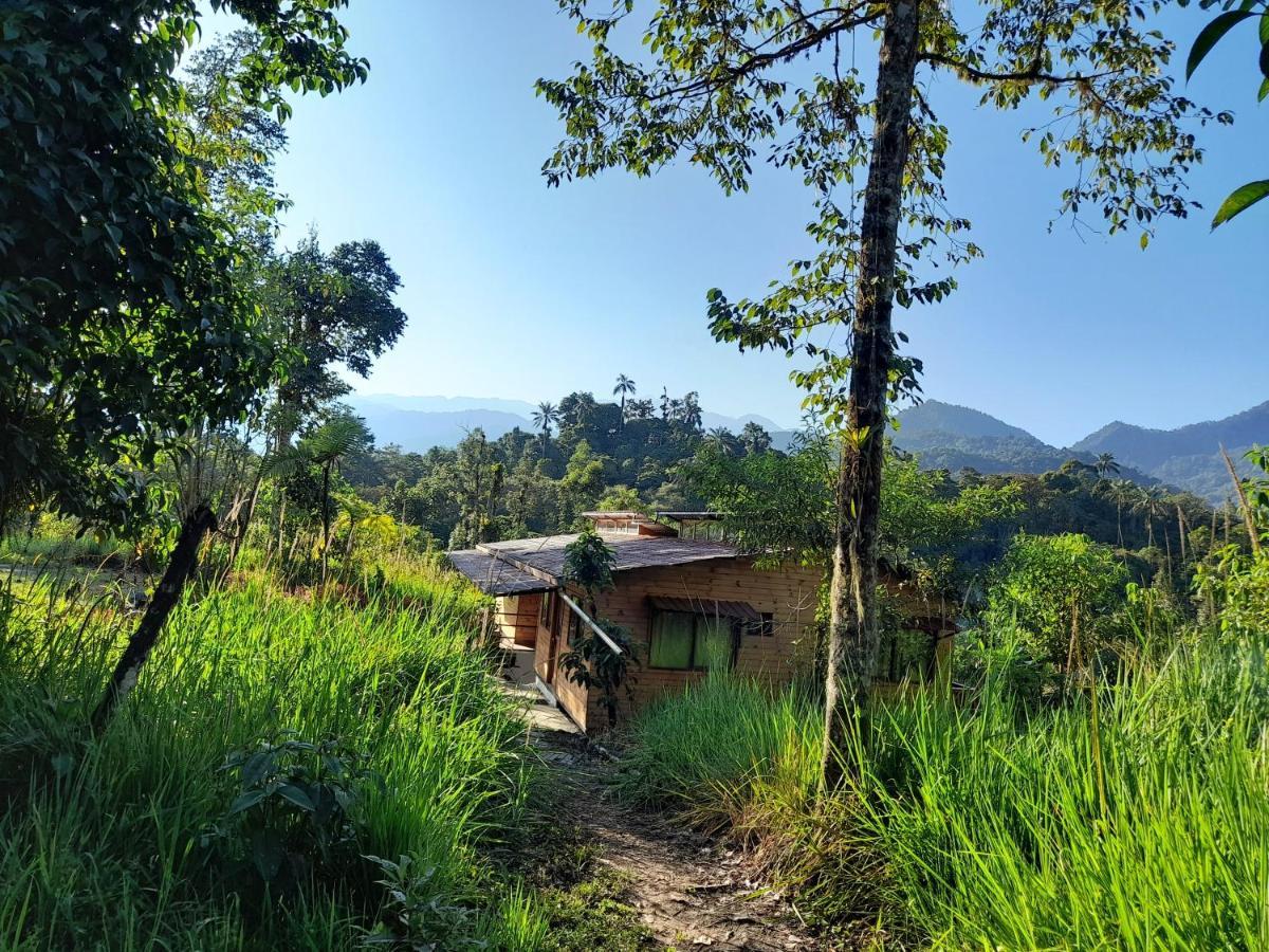 Sendero De Las Aves Aparthotel Mindo Exterior foto